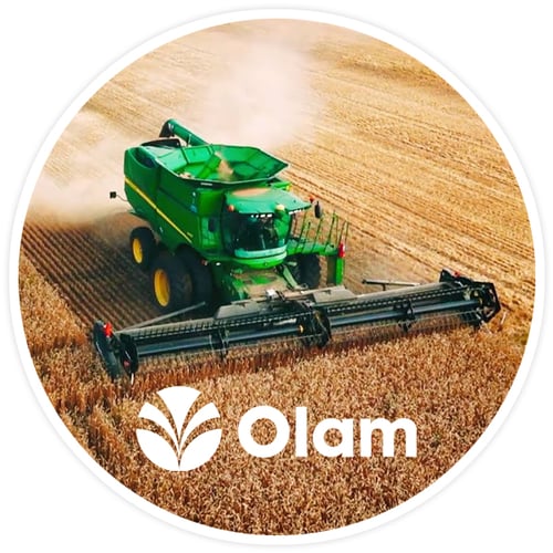 Olam Coffee Case Study Credit Key